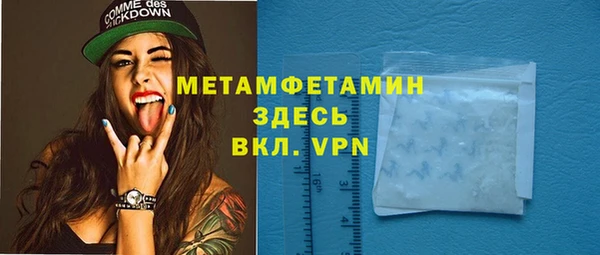 шишки Няндома
