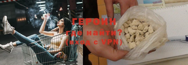шишки Няндома