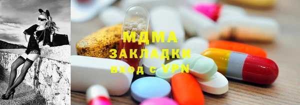 шишки Няндома