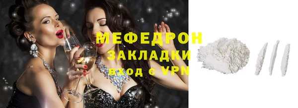 шишки Няндома
