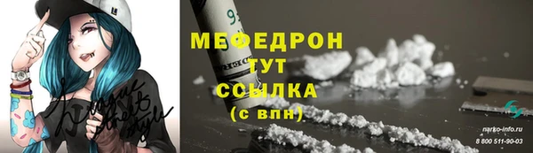 шишки Няндома