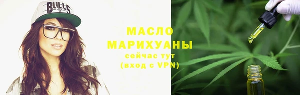 шишки Няндома