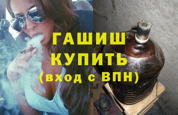 шишки Няндома