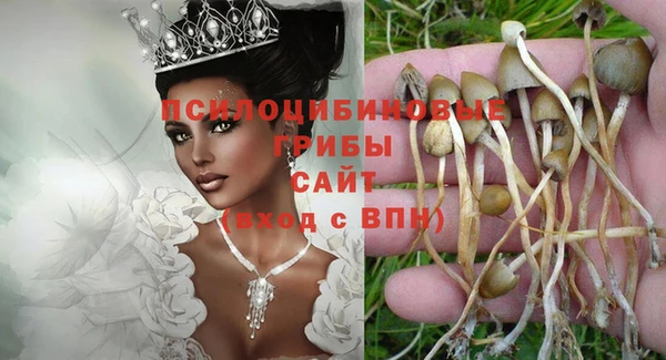 шишки Няндома