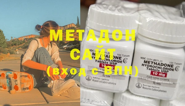 шишки Няндома