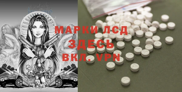шишки Няндома