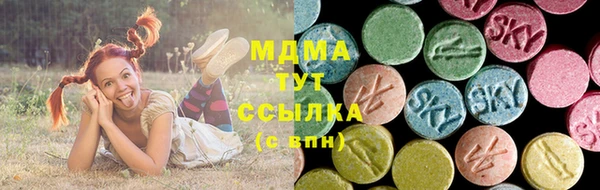 шишки Няндома