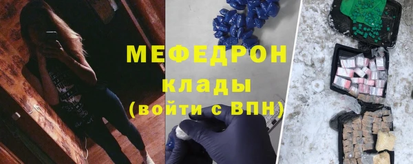 шишки Няндома