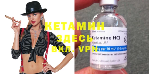 шишки Няндома