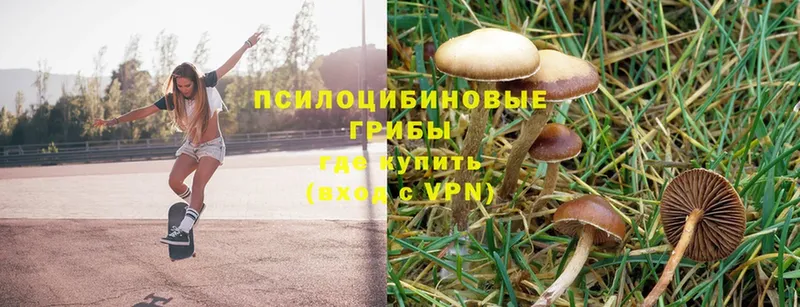 Псилоцибиновые грибы MAGIC MUSHROOMS  Лениногорск 