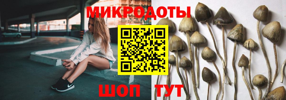 Галлюциногенные грибы MAGIC MUSHROOMS  Псилоцибиновые грибы Psilocybine cubensis  Вход с VPN  Лениногорск 